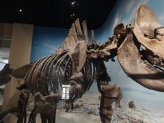 -国家自然博物馆