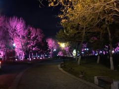 -海草馆自助餐厅(悦海店)