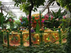 -南宫五洲植物乐园