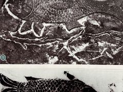 -白鹤梁水下博物馆