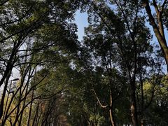 -柯岩风景区