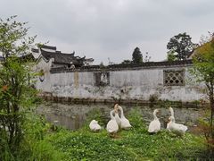 -环秀楼(黄山呈坎店)