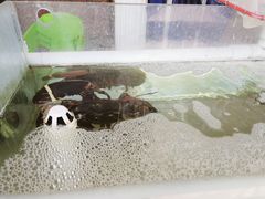 -四海鲜渔家菜(黄金海岸店)
