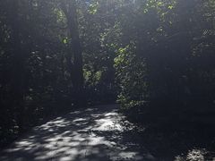 -香山公园