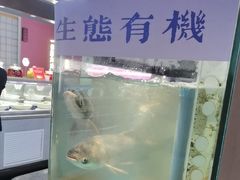 -鸽子侯·家宴·平价海鲜(市图书馆店)