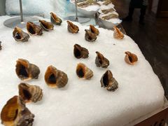 -丰卓会海鲜自助(中润大道店)