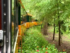 -合肥滨湖国家森林公园