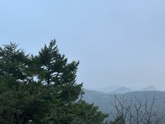 -泰山风景名胜区
