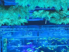 -三越百货(三越银座店)