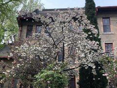 -山东大学(趵突泉校区)