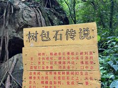 -莫里热带雨林景区
