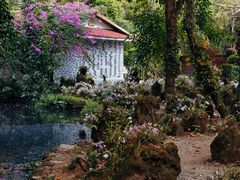 -莫里热带雨林景区