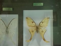 -上海昆虫博物馆