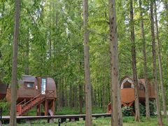 -黄海国家森林公园