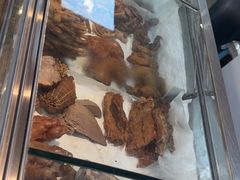 -京八珍(虎坊桥店)