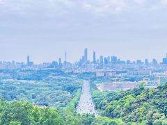 -火炉山森林公园