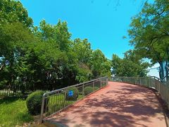 -山东大学(千佛山校区)