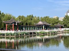 -莲花池公园