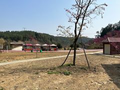 -绵阳盛世樱花悠乐谷