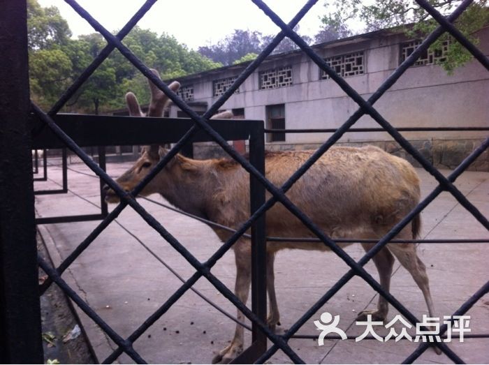 武漢動物園圖片 - 第2141張