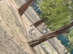 -秦皇岛野生动物园
