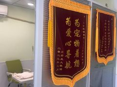 -艾吉宠物医院·疑难杂症转诊中心·猫友好(碧江路院)