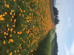 富田农场-富田农场
