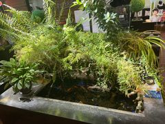 -希望齿科(河西店)