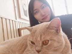 -Catmate·猫肥家润(金润铂宫店)