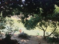 -牙山果园·烧烤野炊·钓鱼团建·烤全羊