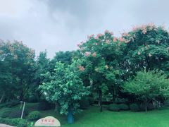 -两江幸福广场