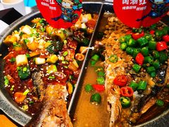 -南锣肥猫·麻辣烤鱼·15年现烤现卖(通州领展店)
