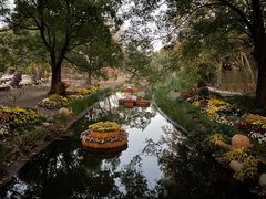 -上海共青森林公园