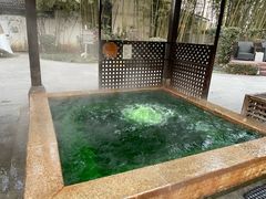 -春晖园度假酒店温泉