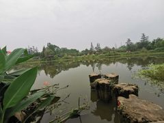 -桤木河湿地公园