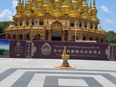 -西双版纳原始森林公园