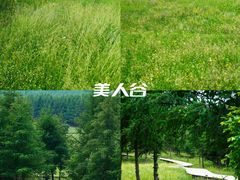 -百里天路
