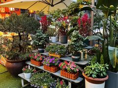 -山水茶艺馆·点心粤菜·30年老字号