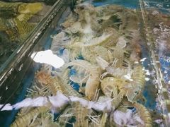 -亚龙湾8号(丁村万人海鲜广场店)