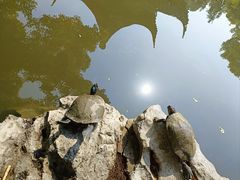 -西园戒幢律寺