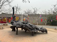 -大槐树寻根祭祖园