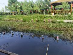 -同銮特种养殖场·龙虾垂钓