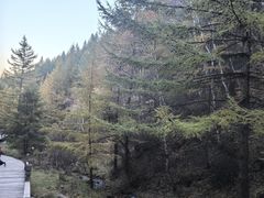 -苏木山森林公园