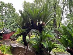 -成都武侯祠博物馆