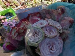 -循礼门鲜花花市(武汉循礼门店)