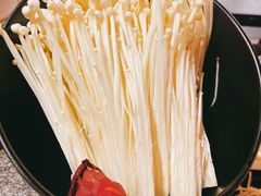 -菌自在·云南野生菌火锅(长安万达店)