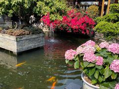 -猪肉婆私房菜(容桂总店)