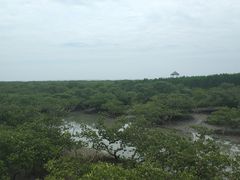 -北海金海湾红树林生态旅游区