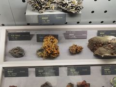 -中国地质博物馆