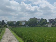 -桤木河湿地公园